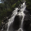 آبشارهای  بسیارزیبای زنده(سری هشتم)