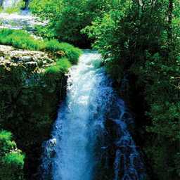آبشارهای زنده  بسیارزیبا(سری پنجم)