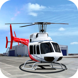 Helicopter Flying Adventures