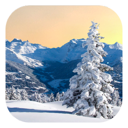 Winter Live Wallpaper