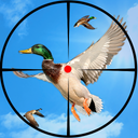 Bird Hunter 2020
