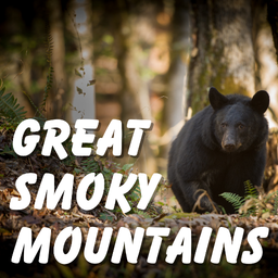 Great Smoky Mountains GPS Tour