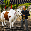 Animal truck game: Cargo Truck