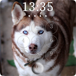 Husky Lock Screen & Wallpapers