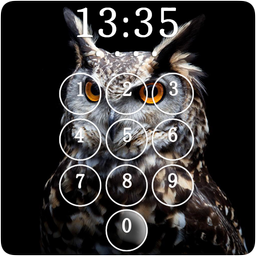 Owl Lock Screen & Wallpapers