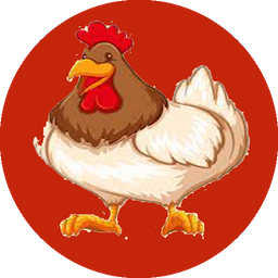 مرغ و بیماری ها