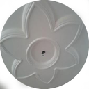 آموزش گچ بری