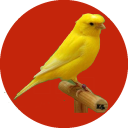 آموزش پرورش قناری