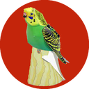 آموزش پرورش مرغ عشق