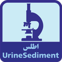 Atlas of Urine Sediment