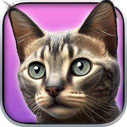 My Kitten : Virtual Pet