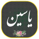 سوره یاسین صوتی و متنی