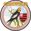 CALOPSITA - FLA