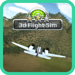 3D Flight Simulator