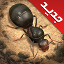 نبرد مورچه‌ها: امپراتوری زیرزمینی