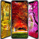 پس زمینه طبیعت زیبا
