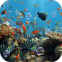 Aquarium Live Wallpaper