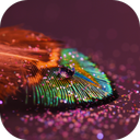 Feather Live Wallpaper