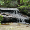 Forest Rock Water LWP