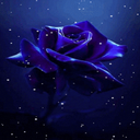 Snowy Blue Rose LWP