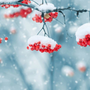 Beautiful Winter Live Wallpape