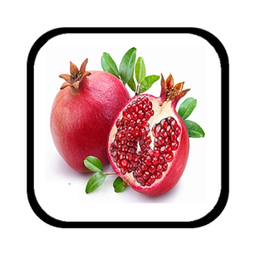 fruit2048