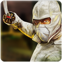 Super Hero-The Ninja Warrior.