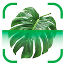 PlantBio: Ai Plant Identifier