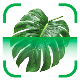 PlantBio: Ai Plant Identifier