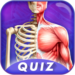 Human Body Anatomy Quiz 2022