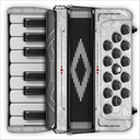 Accordion Piano Learn to Play