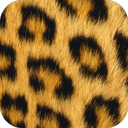 Animal Print Wallpapers