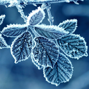 Winter Wallpapers