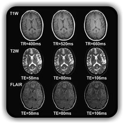 Overview of MRI Pulse Sequence