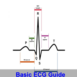 Learn How To Read ECG