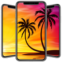 Palm Tree Wallpapers