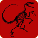 Raptor Wallpapers