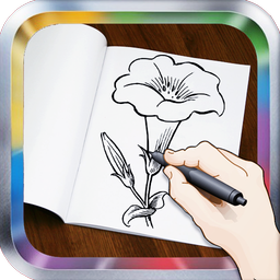 How To Draw Flowers: Drawing Step by Step