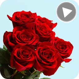 Animated Flowers Stickers for Whatsapp GIF