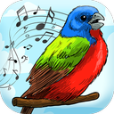 New Birds Sounds Ringtone