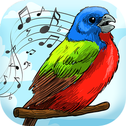 New Birds Sounds Ringtone