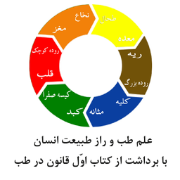 علم طب و راز طبیعت انسان