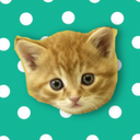 Musical Kittens