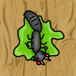 Ant Squash