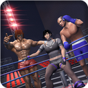 Fighting Wrestling Games 2025