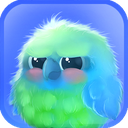 Kiwi The Parrot
