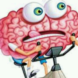 brain sport