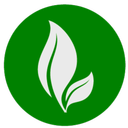 ریحان