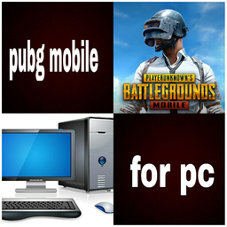 Pubg mobile for pc