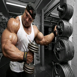 ideal   body